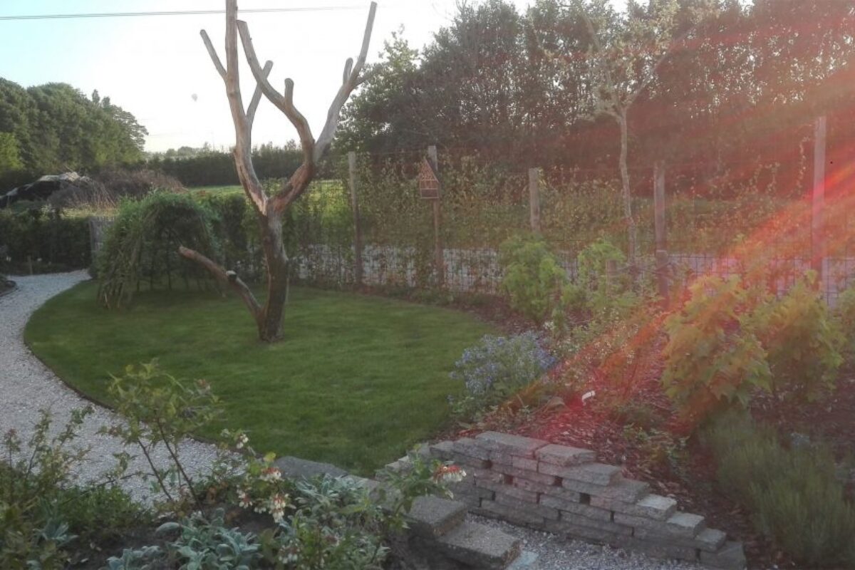 Eetbare siertuin Berkel Enschot
