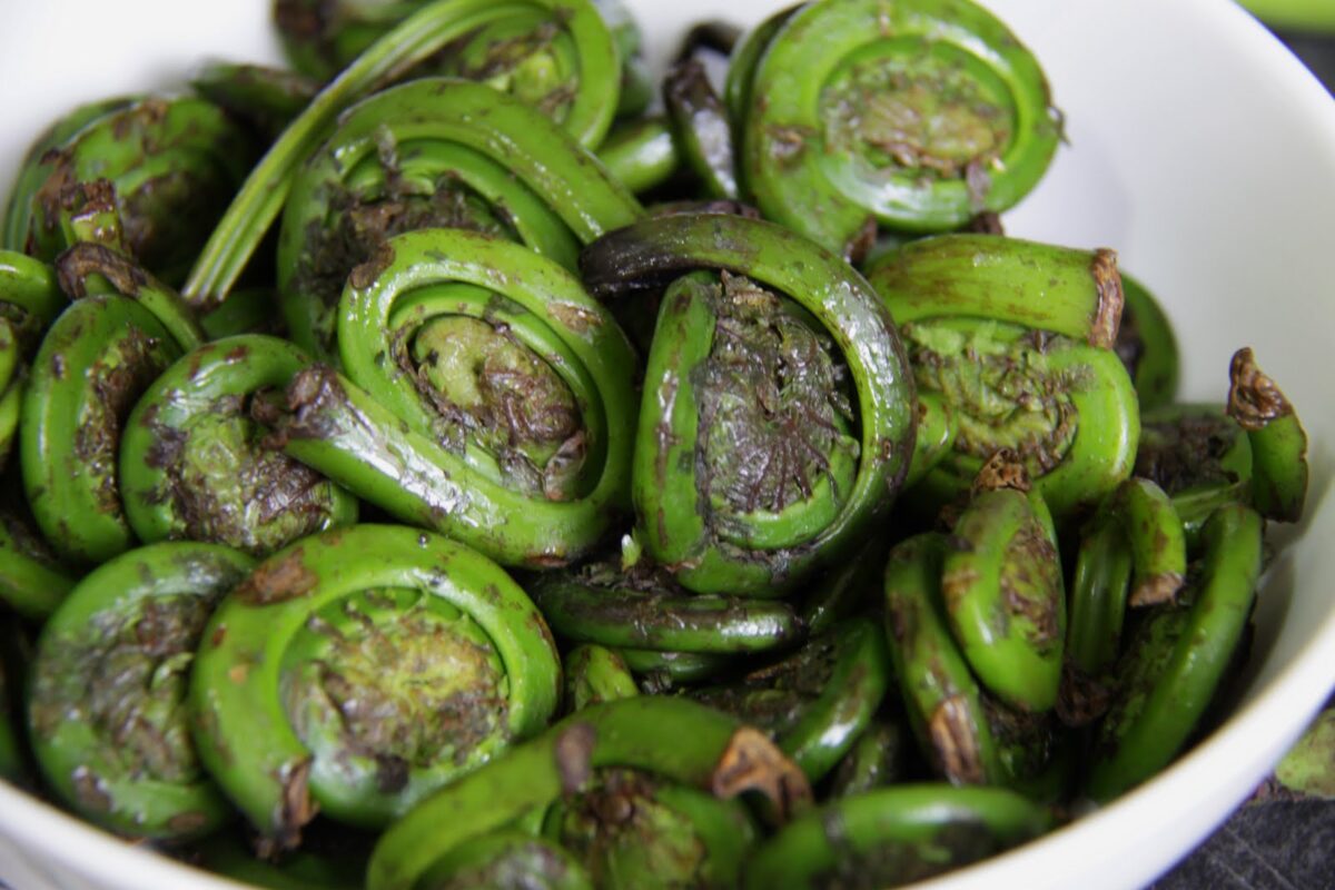Culinaire voedselbos planten – top 5