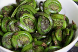 fiddleheads voedselbos struisvaren