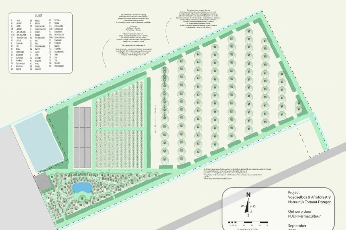 Agroforestry ontwerp