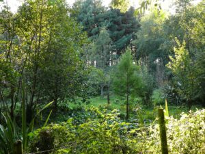 voedselbos biodiversiteit