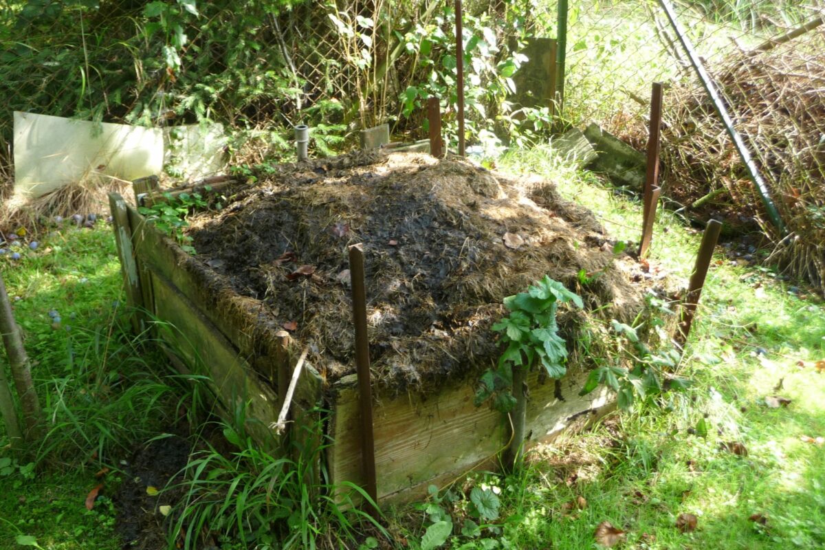 Permacultuur principe 5. Gebruik en waardeer hernieuwbare grondstoffen en diensten.