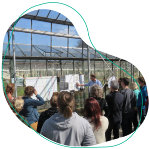moestuin cursus