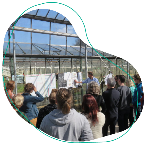 moestuin cursus