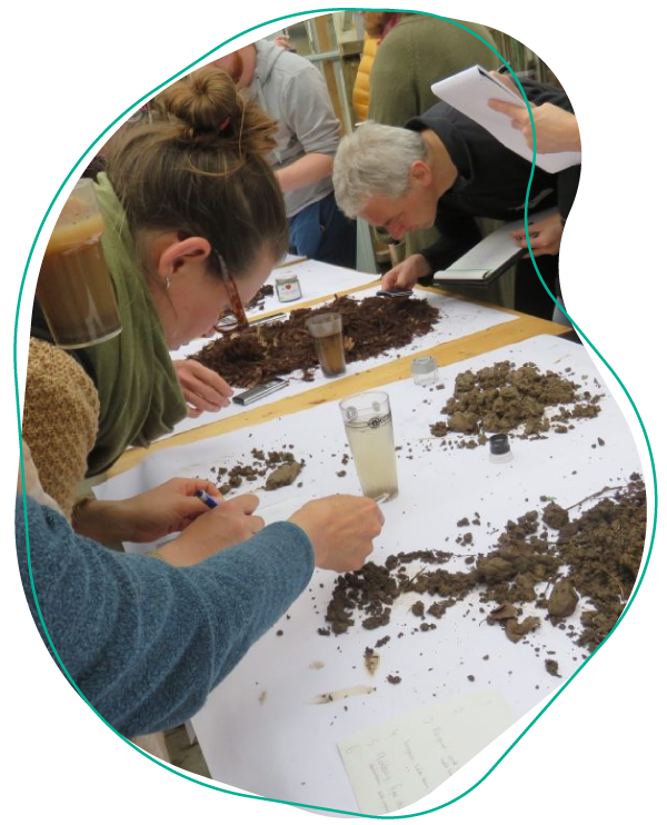 moestuin cursus