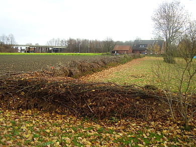 takkenril voedselbos