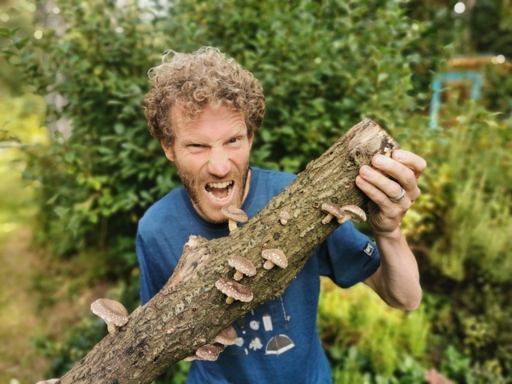 shiitake kweken