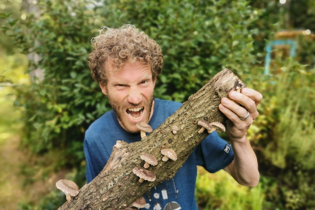 Shiitake kweken