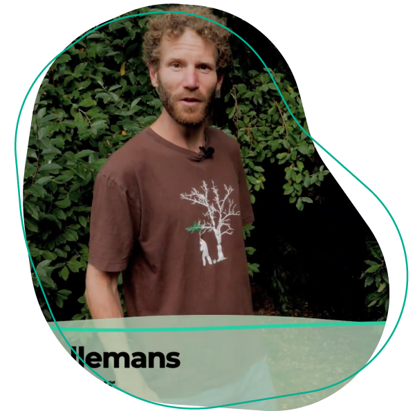 Online voedselbos cursus Martijn Ballemans
