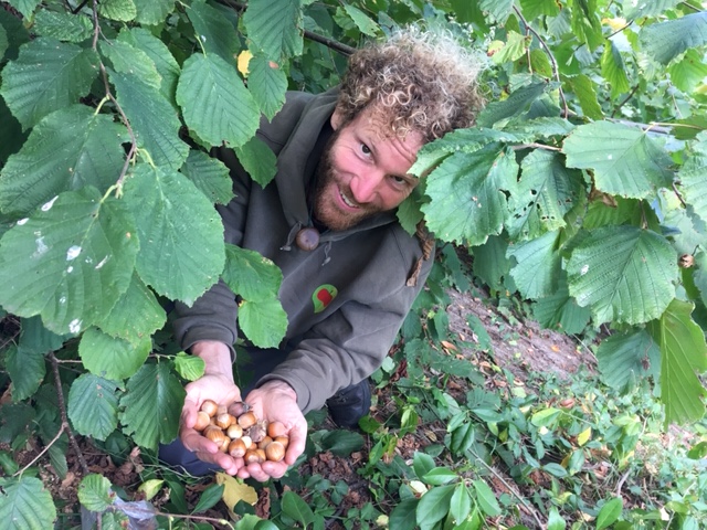 permacultuur voedselbos groep community