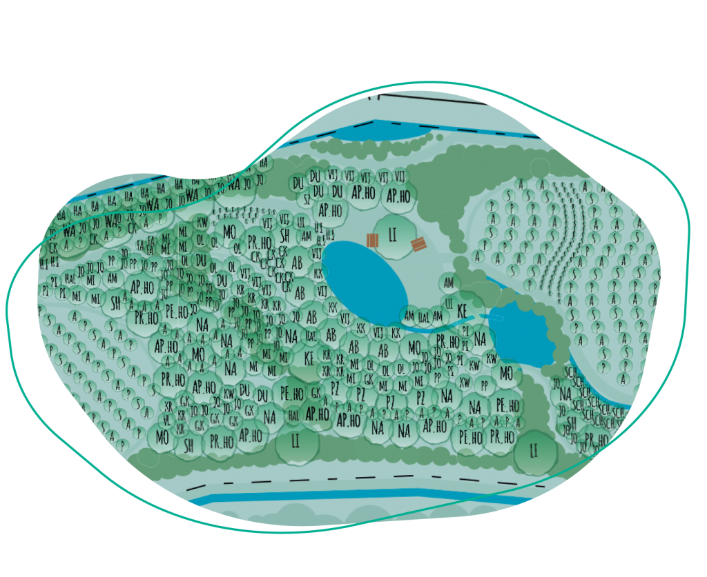ontwerp-voedselbos-Lage-Mierde