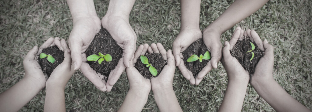 ecodorp community