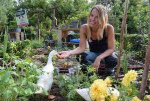 permacultuur moestuin de moestenier