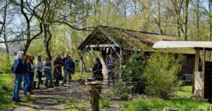 eetbare landschappen met oergroen