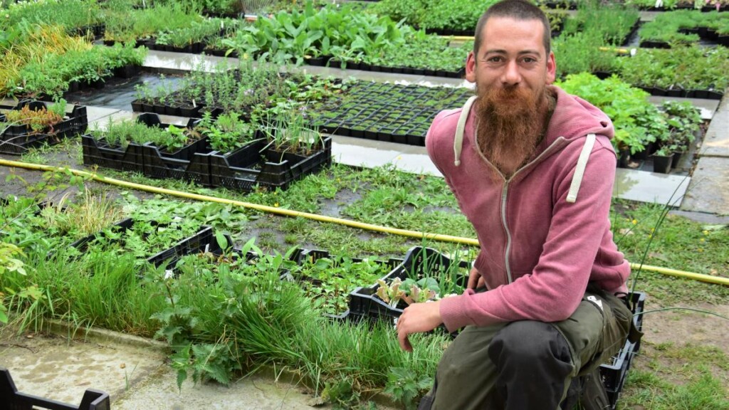 ecohoeve den oude kastanje kwekerij