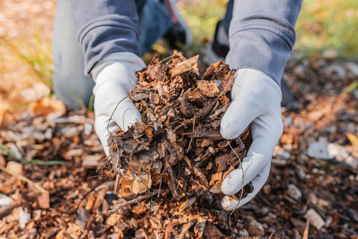 Gezonder bodemleven met de compostkeuken