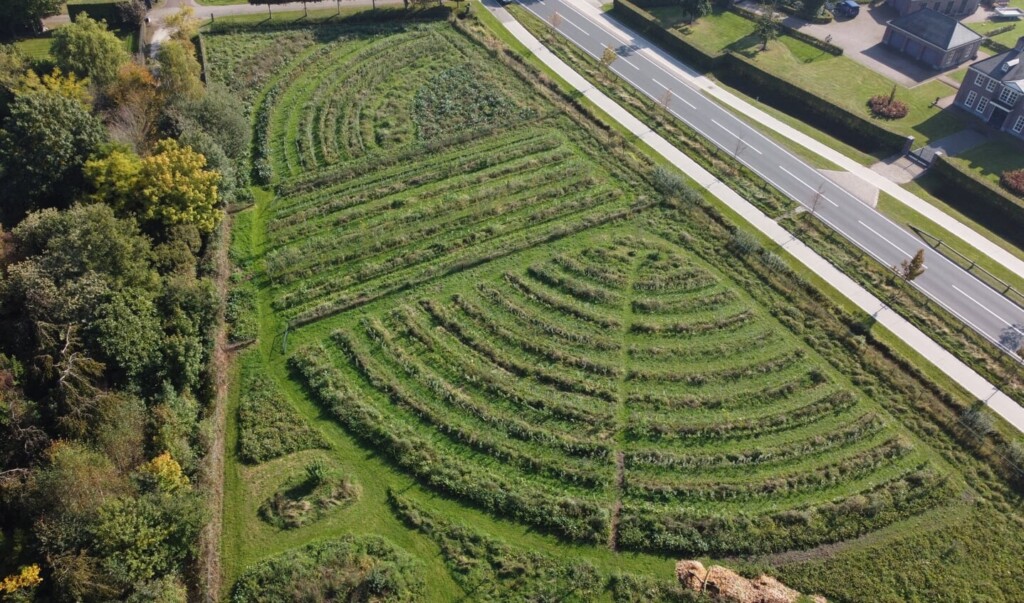 jadereforestry agroforestry kwekerij