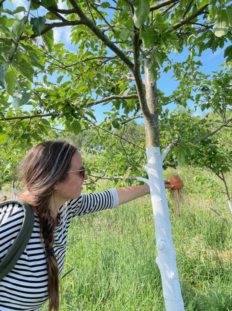 tuinontwerper schoppenvrouw