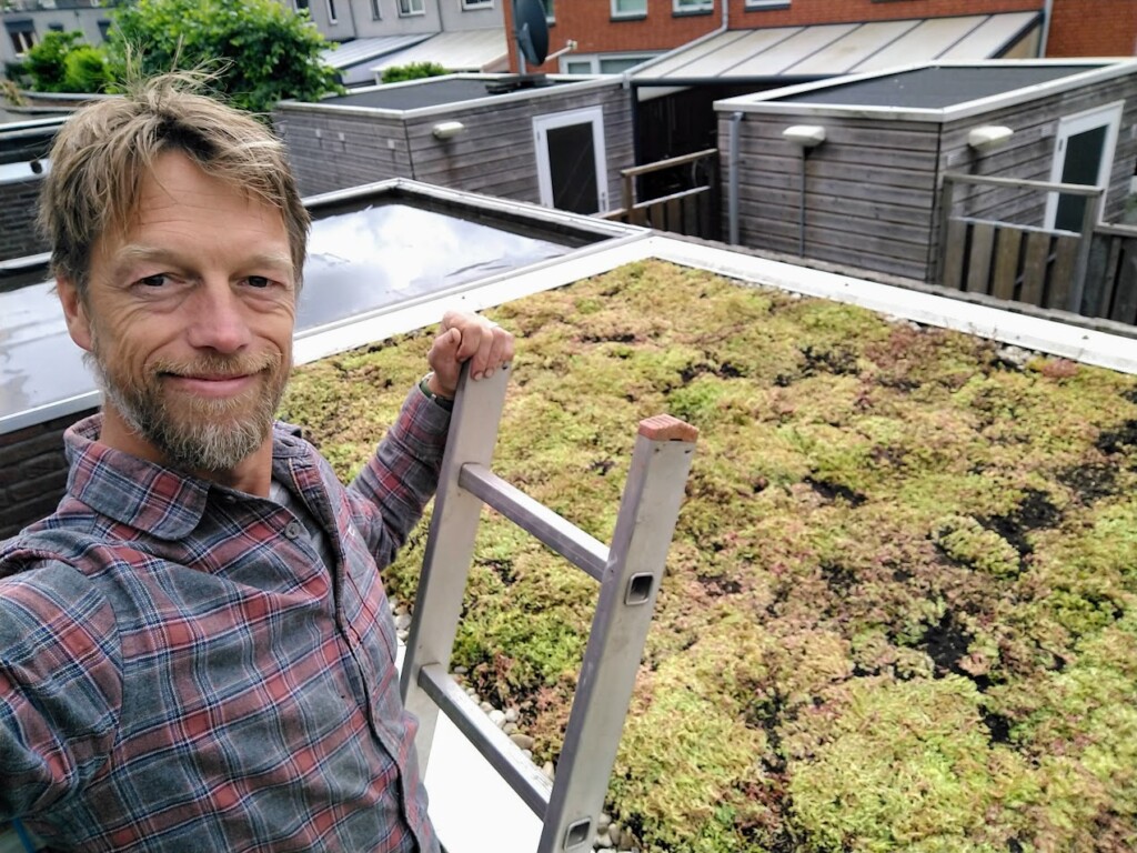 ecologisch groen dak