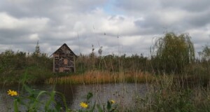 voedselbos klein dongen