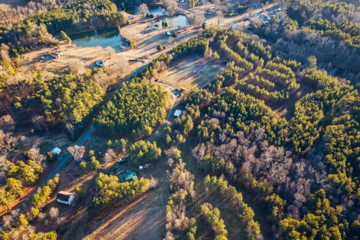 Herstellende landbouw met Mark Shepard
