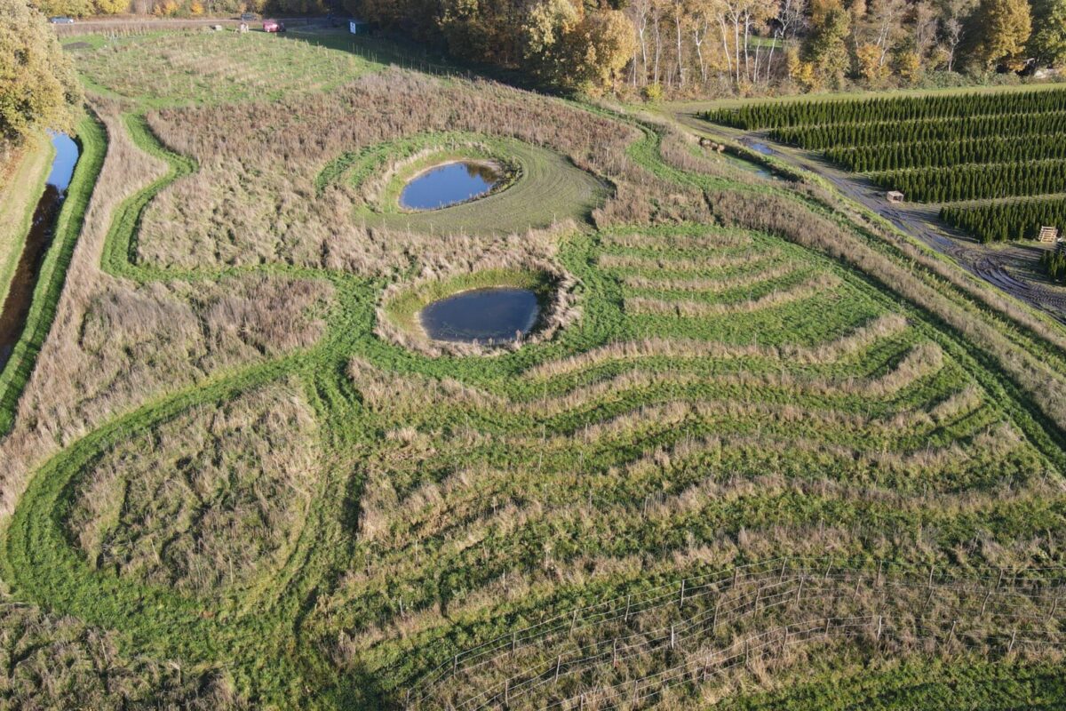 Hoe plant je een voedselbos?
