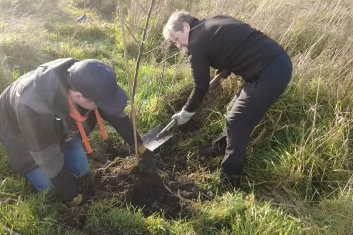 Voedselbos een jaar na aanplant