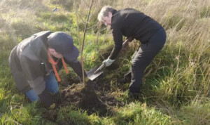 voedselbos jaar na aanplant