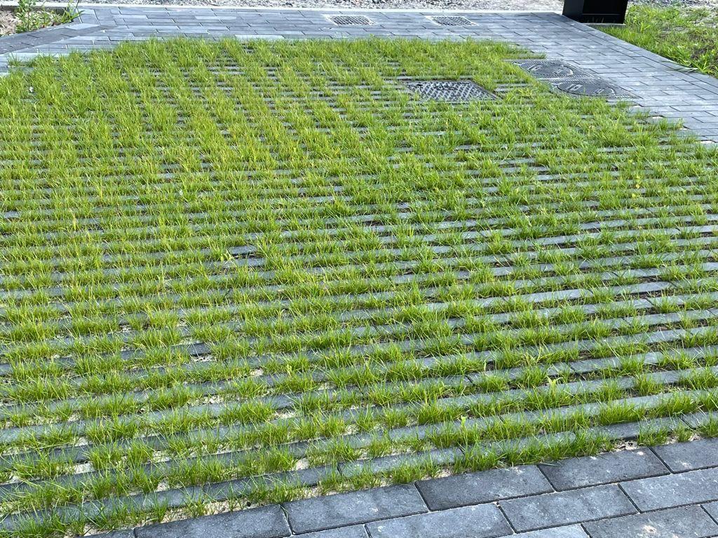 klimaatadaptatie waterdoorlatende tegels