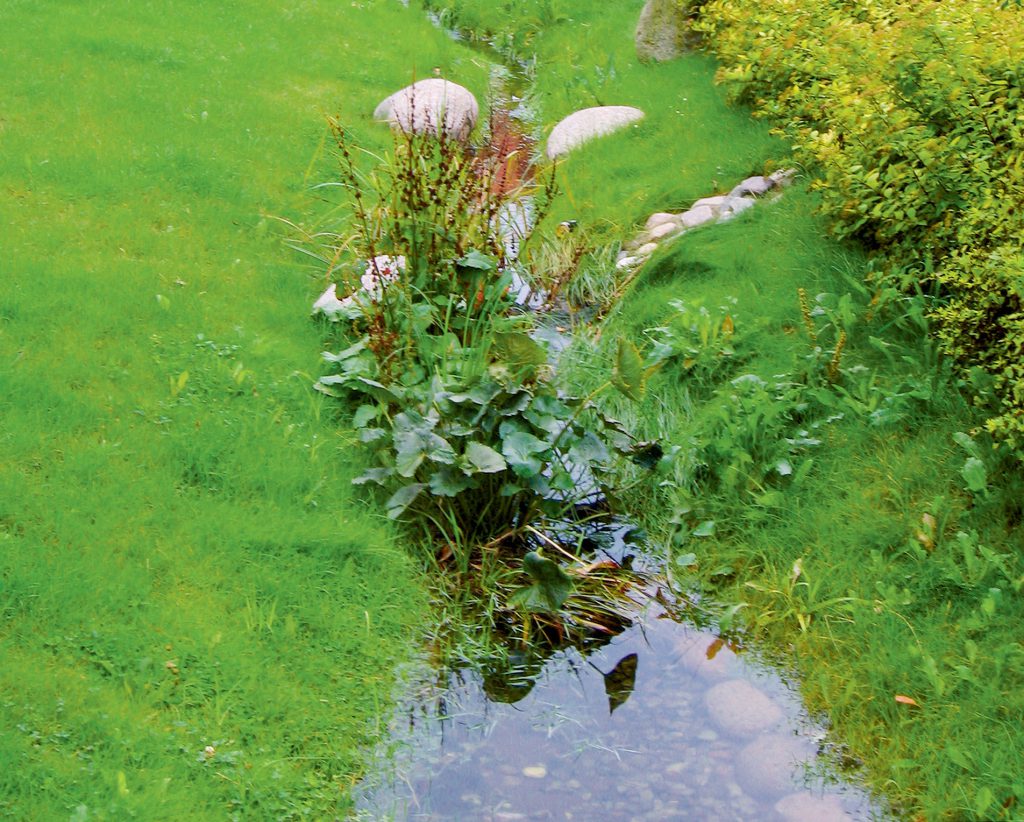 wadi klimaatadaptatie