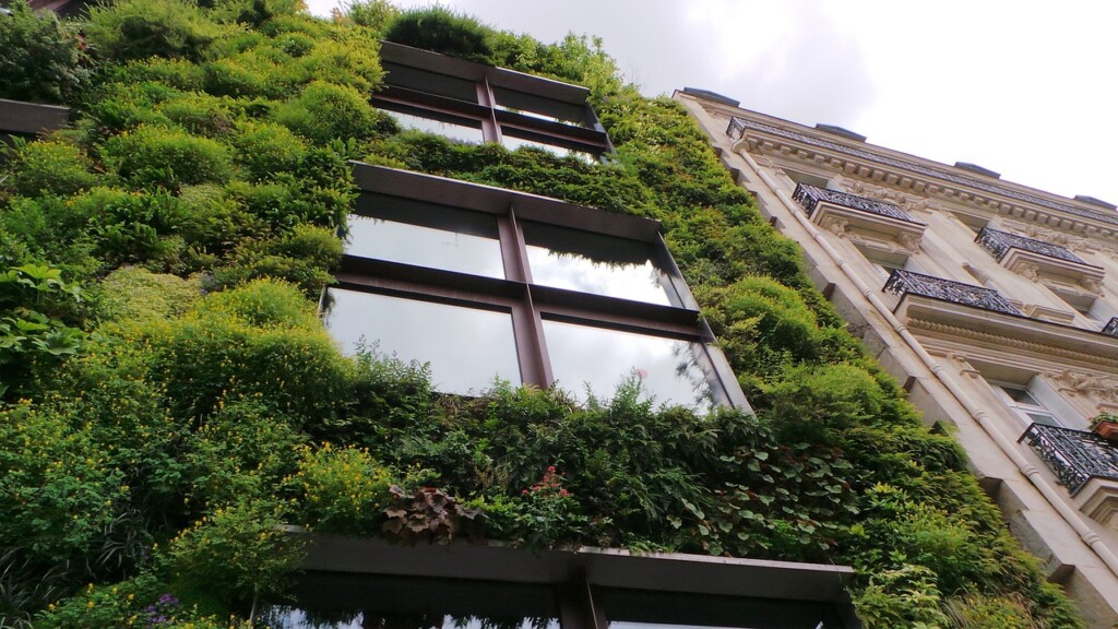 groene muur