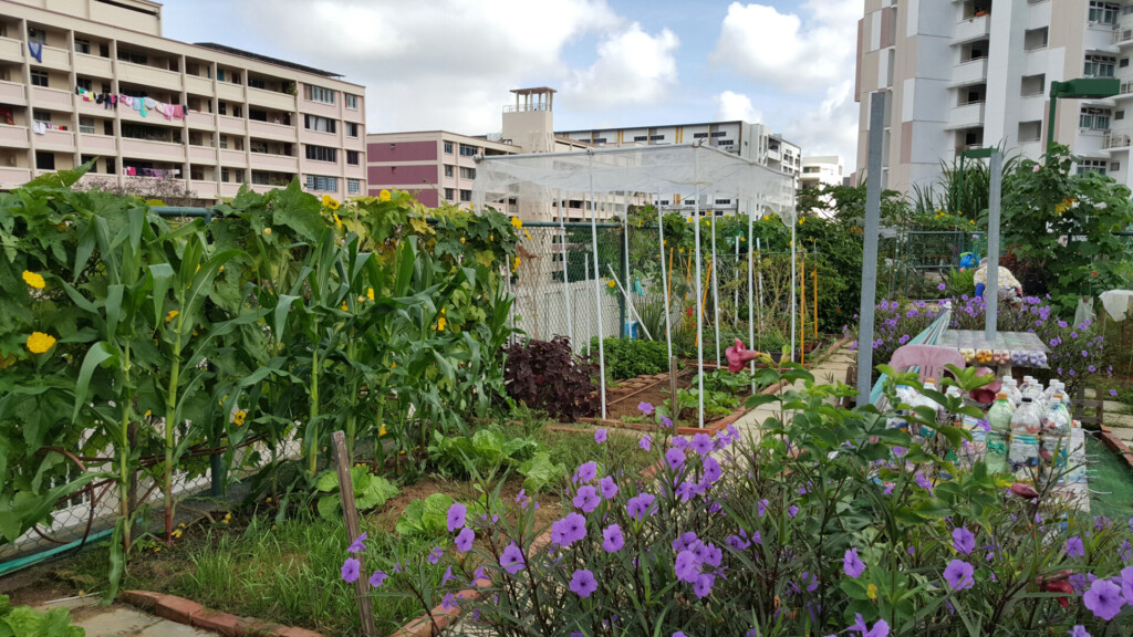 urban farming