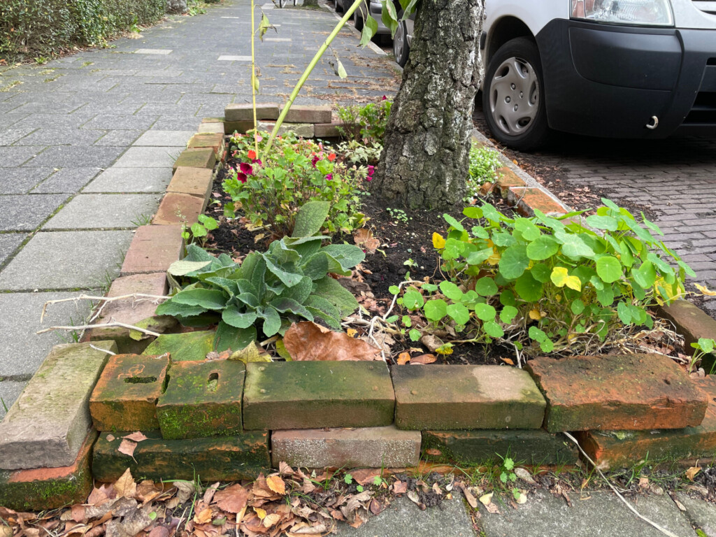 urban farming guerilla