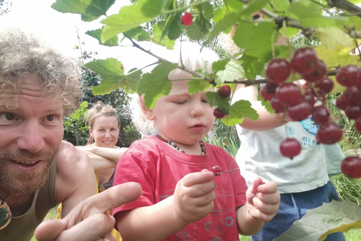 Een voedselbos in je tuin