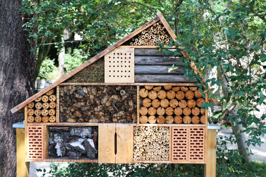 insectenhotel permacultuur