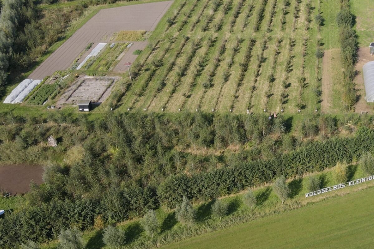 Sfeerbeelden uit het voedselbos