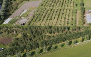 Sfeerbeelden voedselbos