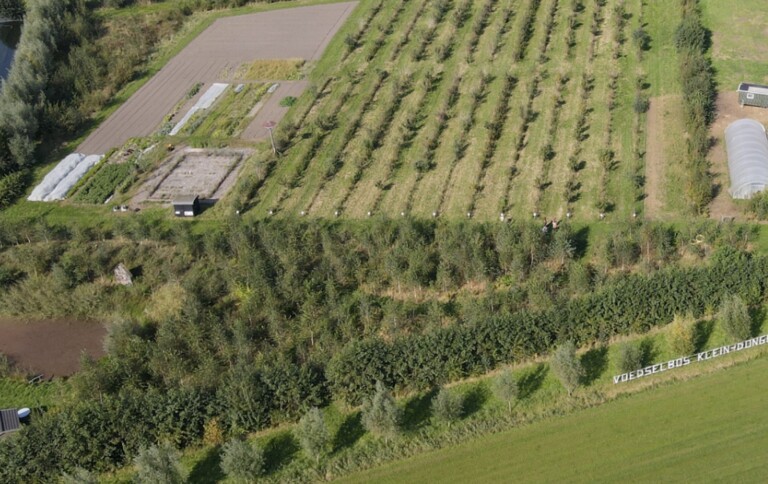 Sfeerbeelden voedselbos