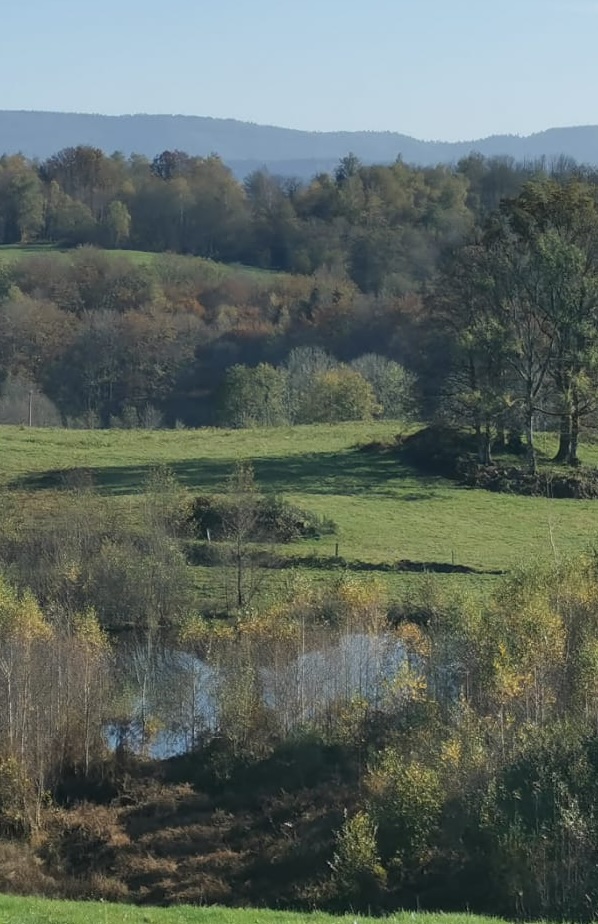 sprookjesachtig